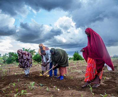 People working in a field