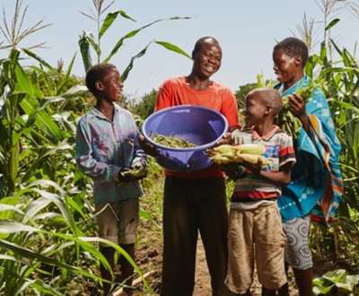 People in a field