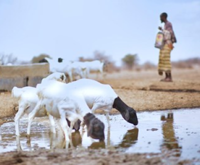 Adverse effects of drought in Kenya