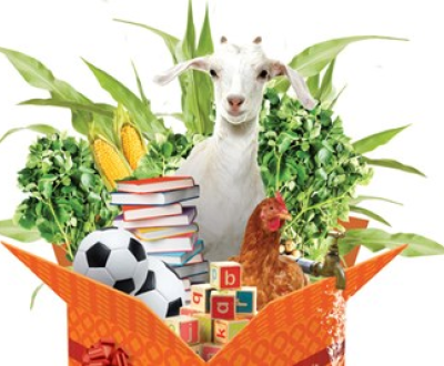 Image of box full of football, goat, chicken, books, toys, vegetables