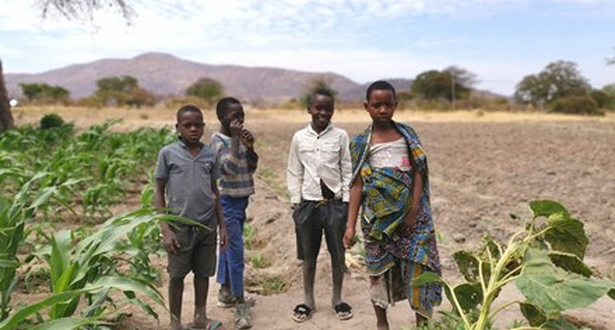 Four kids standing in a field