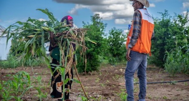 A guy talking to a woman holding corn plants in her hands