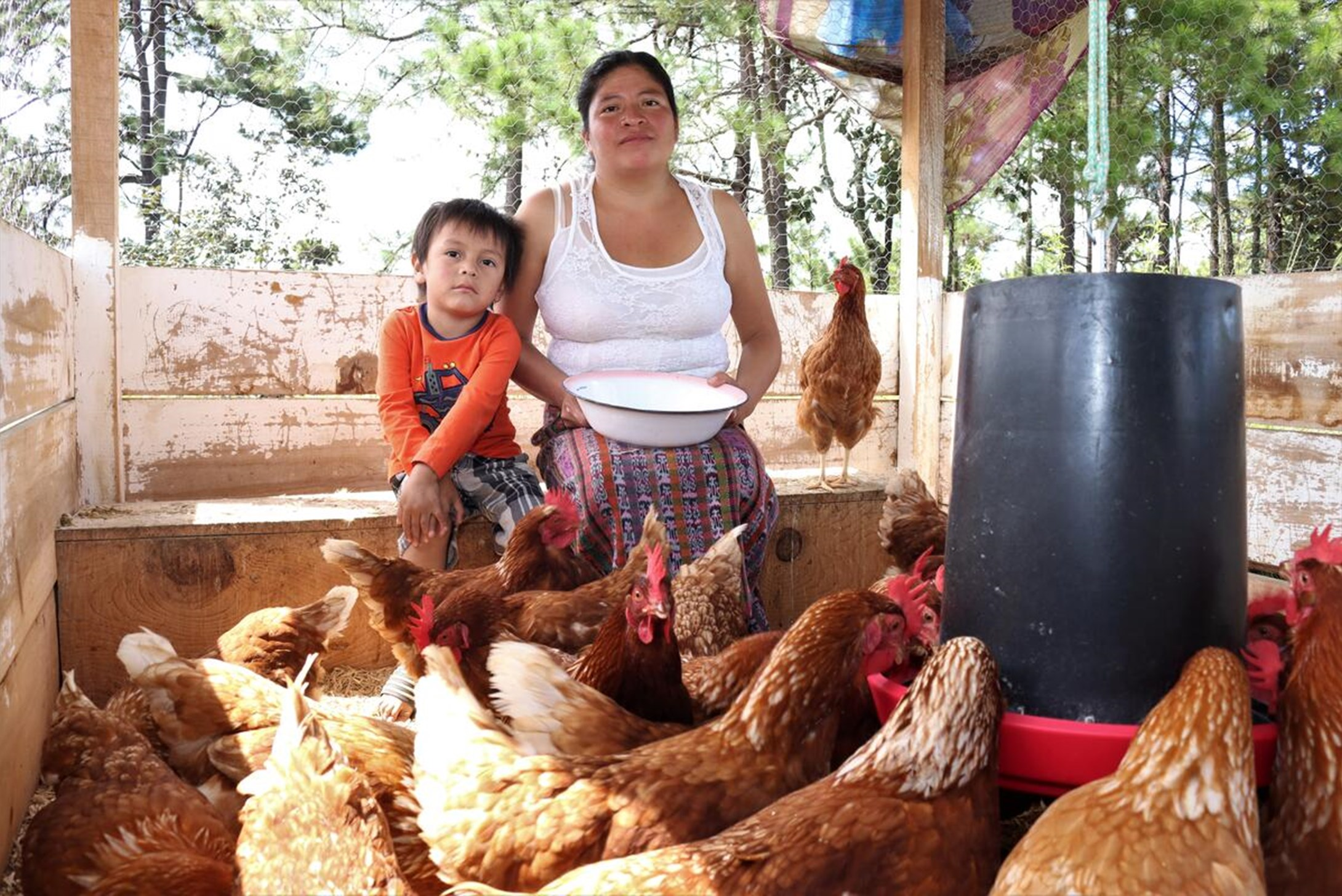 Mayra, the single mom from Bolivia, is sitting with her son and hens