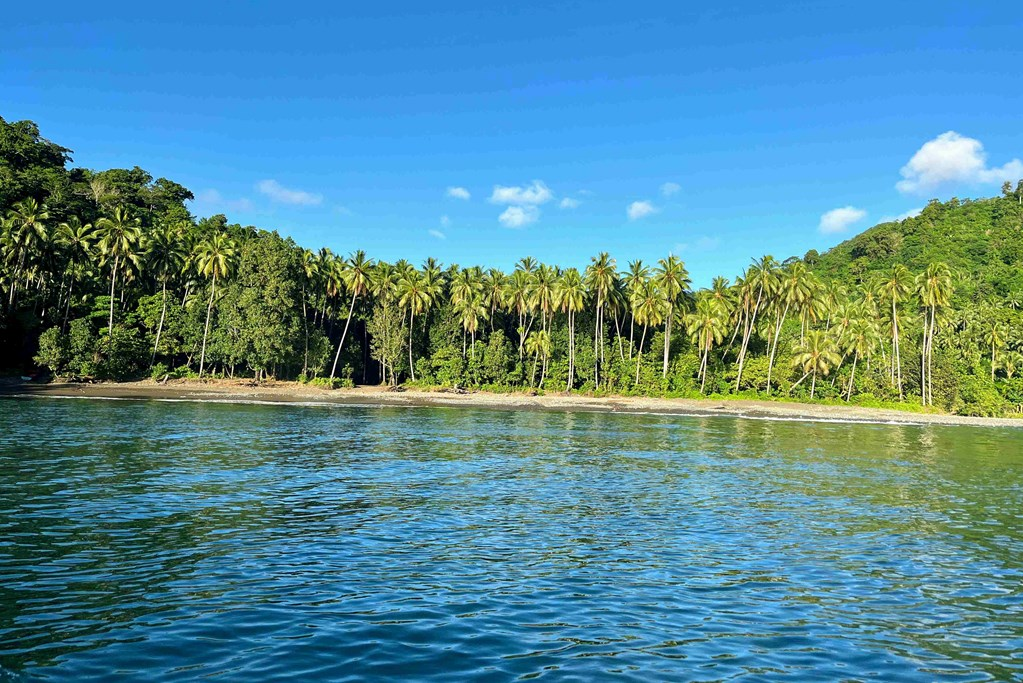 A Lake inside a Forest