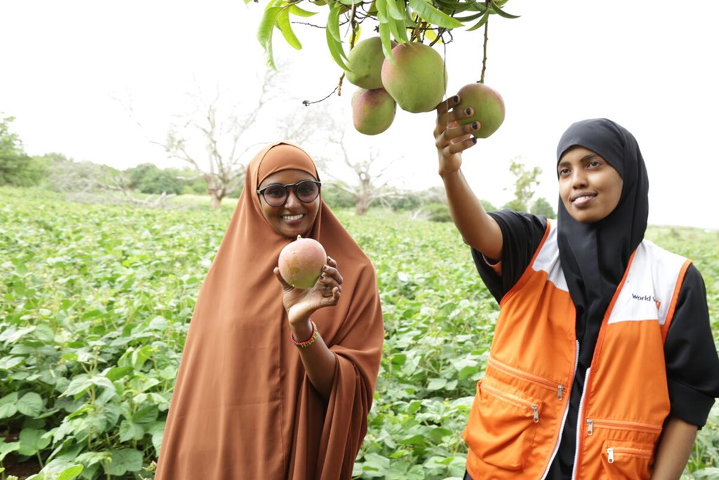 World Vision staff and ministry of agriculture conducting a field day visit to Masalani farm in Kenya.