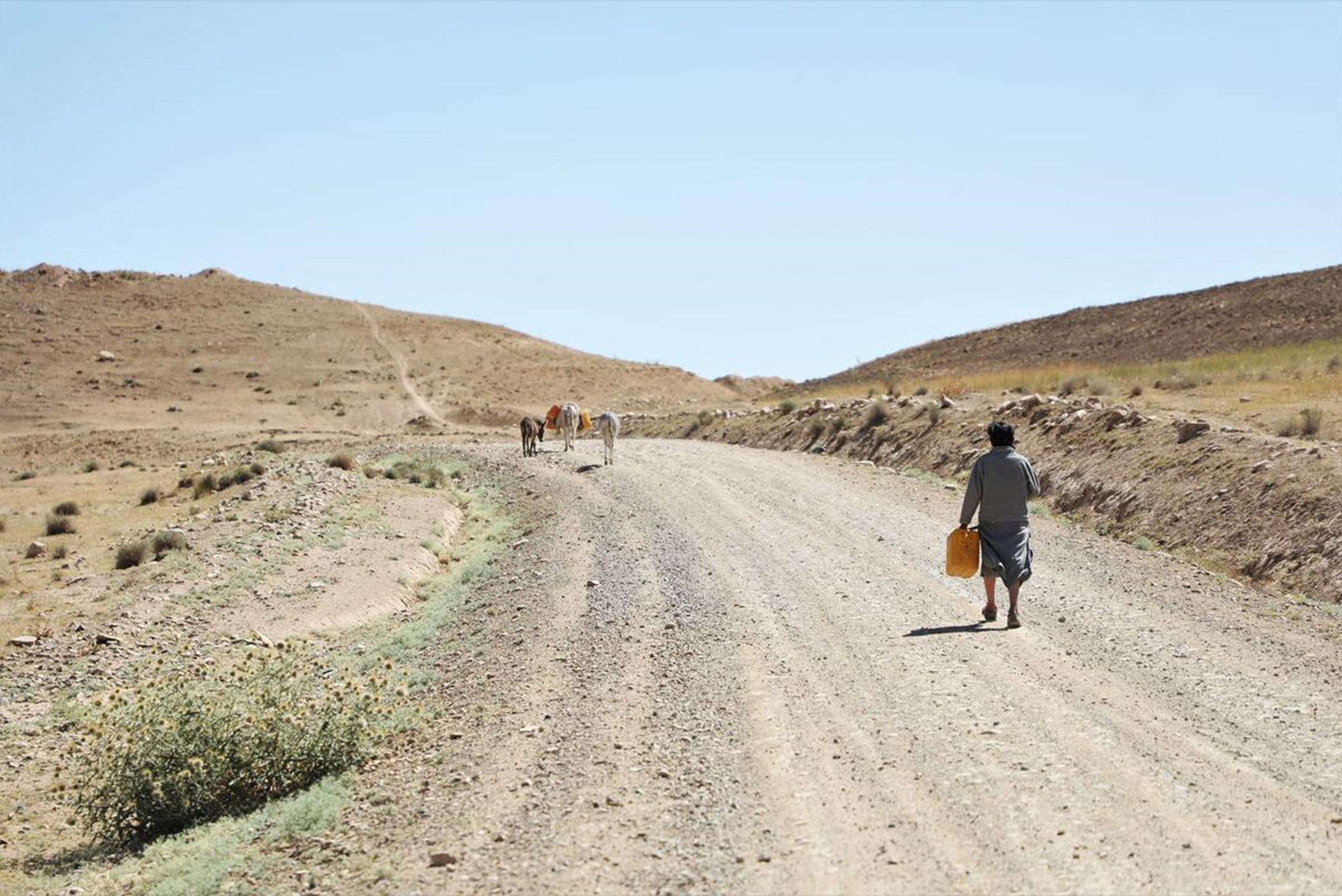 A man walking with his horses through dry land